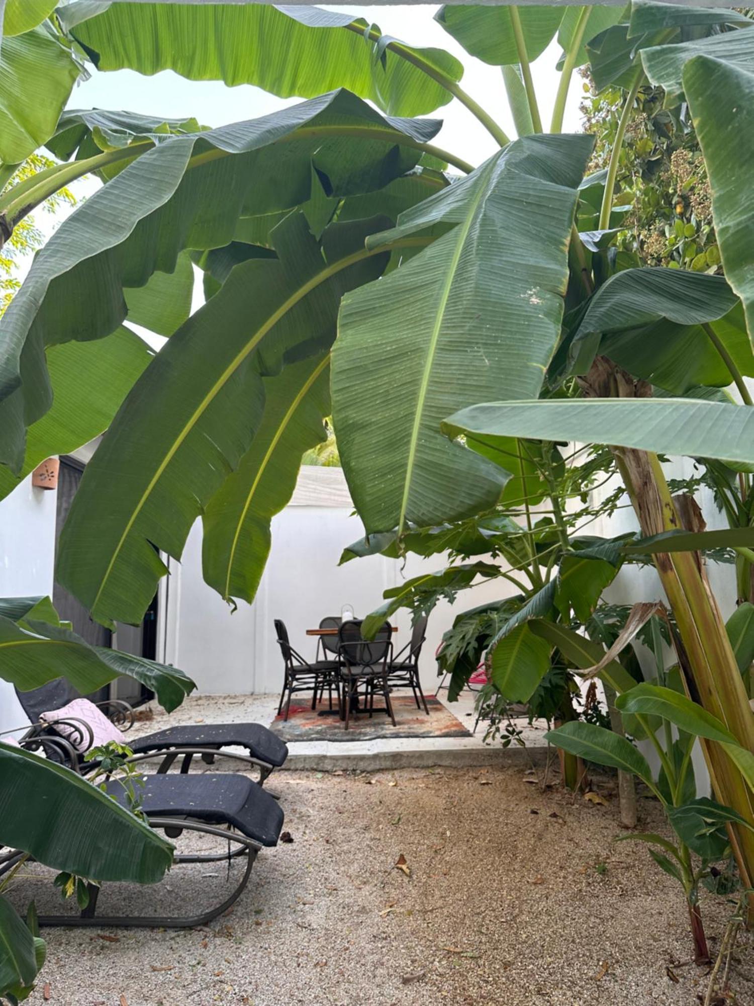 Curiol Boutique Hotel & Lounge 波特雷罗 外观 照片