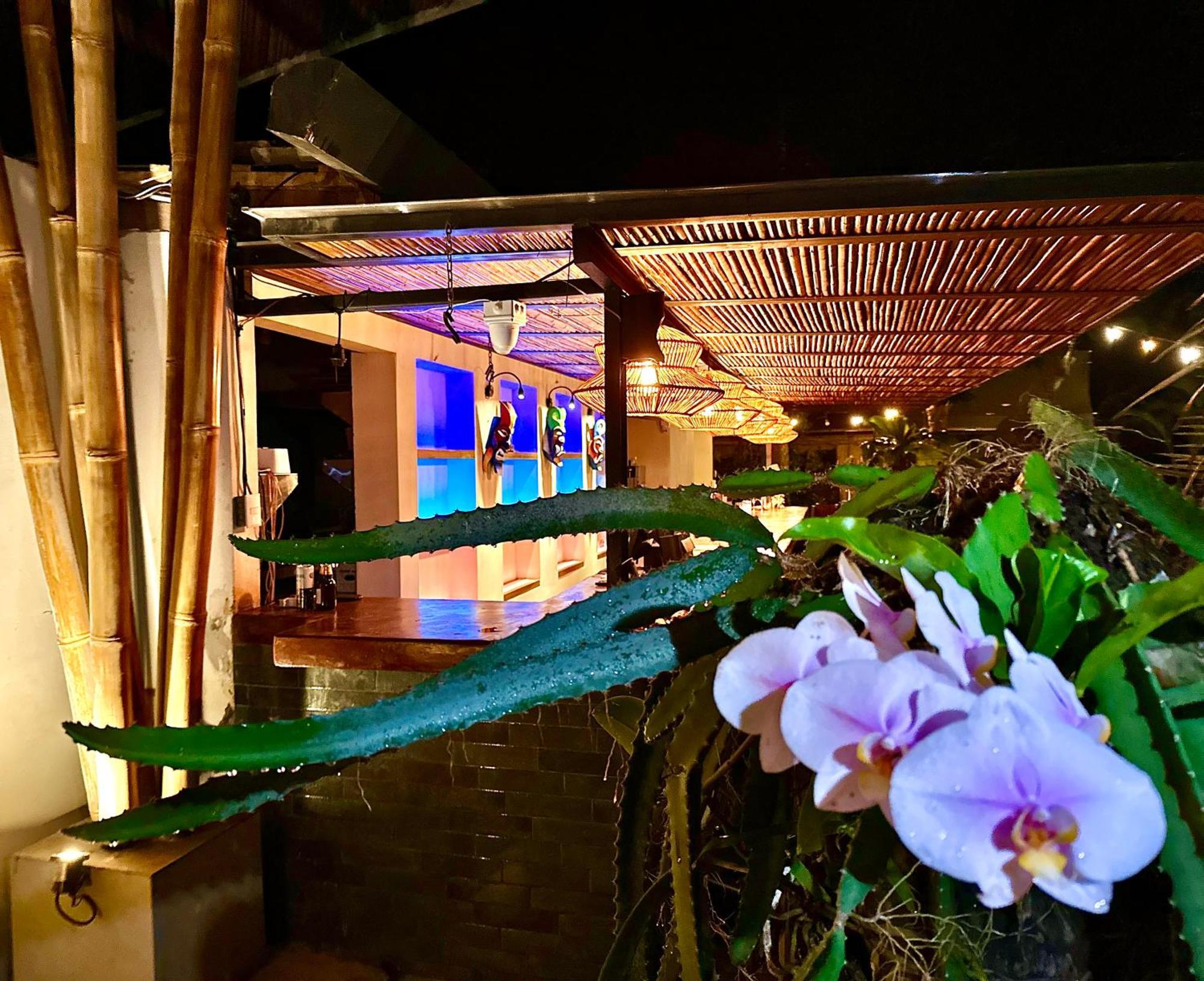 Curiol Boutique Hotel & Lounge 波特雷罗 外观 照片