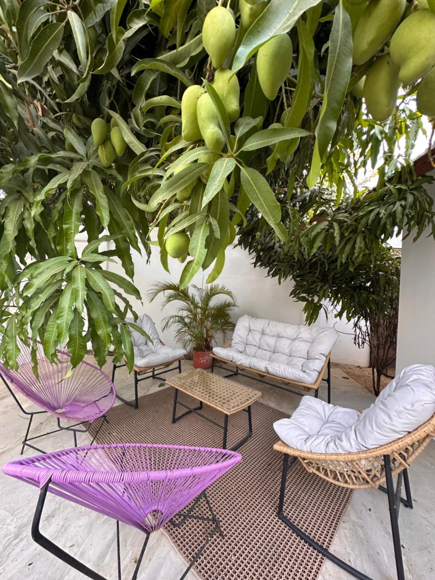 Curiol Boutique Hotel & Lounge 波特雷罗 外观 照片